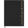 Шильд-символ MOLESKINE PINAQUARIUSGOLD водолей